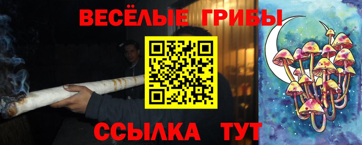 Галлюциногенные грибы GOLDEN TEACHER  Вход с VPN  Медногорск 