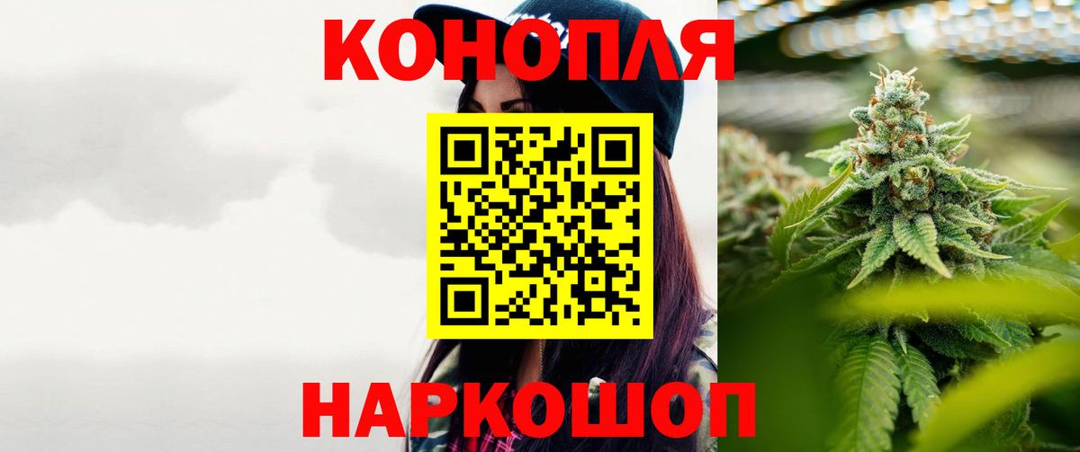 Марихуана план  Вход с VPN  Медногорск  Конопля сатива  Шишки марихуана индика 
